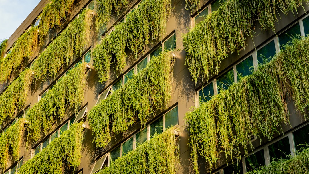 How to Integrate Sustainability Into Your Global Business Strategy