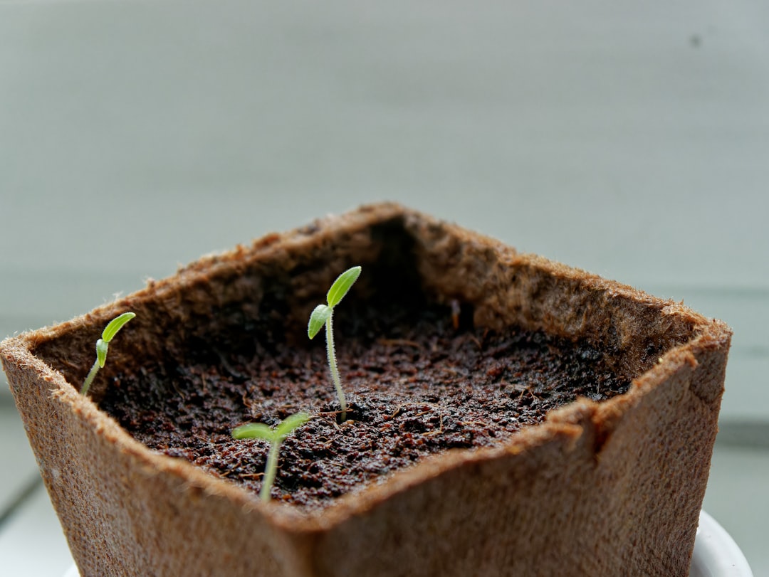 Photo Grow Your Business